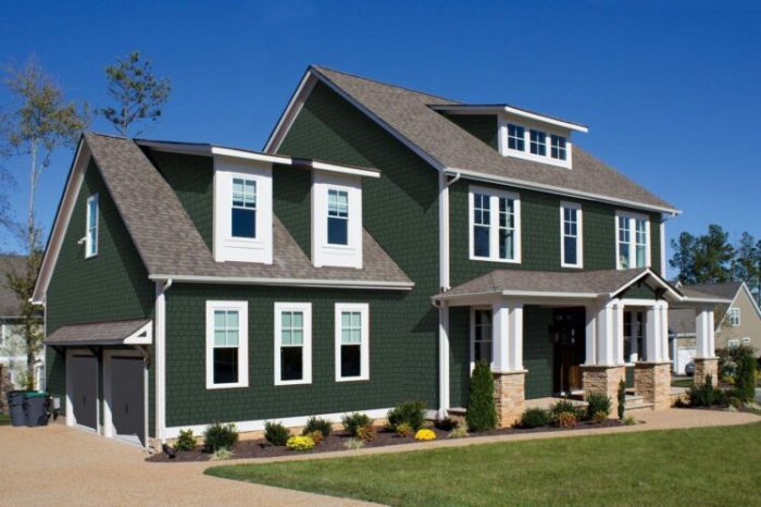 Modern Green Siding