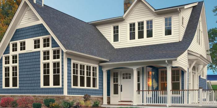 19+ Stylish Modern Vinyl Siding Ideas