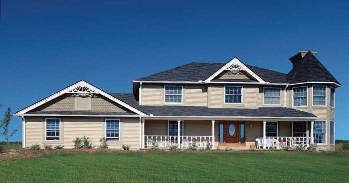 31 Modern Vinyl Siding Ideas for Your House